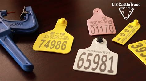 rfid tags for cattle in michigan|official usda cattle id tags.